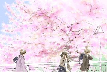 孙倩白洁高校长