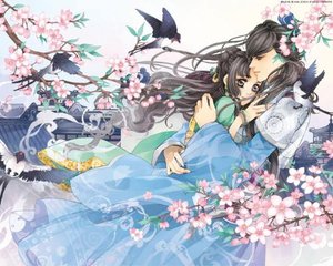草莓丝瓜黄瓜榴莲绿巨人